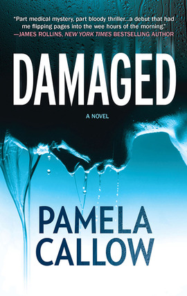 Title details for Damaged by Pamela Callow - Available